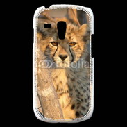 Coque Samsung Galaxy S3 Mini Jeune félin