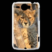 Coque HTC Wildfire G8 Jeune félin