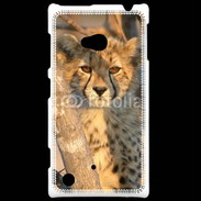 Coque Nokia Lumia 720 Jeune félin