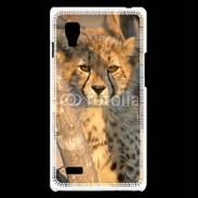 Coque LG Optimus L9 Jeune félin