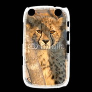 Coque Blackberry Curve 9320 Jeune félin