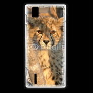 Coque Huawei Ascend P2 Jeune félin