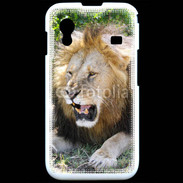 Coque Samsung ACE S5830 Portrait de lion 25