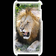 Coque iPhone 3G / 3GS Portrait de lion 25