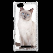 Coque Sony Xperia M Chat siamois 25