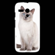 Coque Motorola G Chat siamois 25