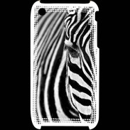 Coque iPhone 3G / 3GS Vie en zèbre