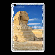 Coque iPadMini La Sfonge