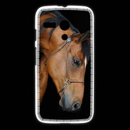 Coque Motorola G Cheval 4