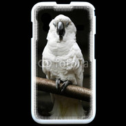 Coque Samsung ACE S5830 Parrot blanc 10