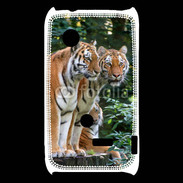 Coque Sony Xperia Typo Famille de tigres