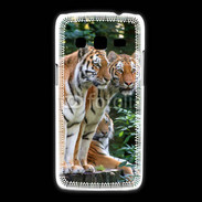 Coque Samsung Galaxy Express2 Famille de tigres