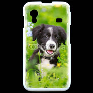 Coque Samsung ACE S5830 Chiot Border Collie 100