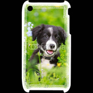Coque iPhone 3G / 3GS Chiot Border Collie 100