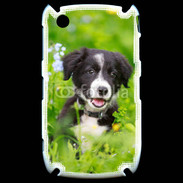 Coque Blackberry 8520 Chiot Border Collie 100