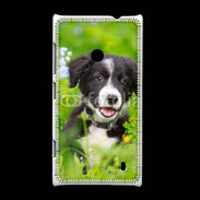 Coque Nokia Lumia 520 Chiot Border Collie 100