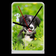 Pendule de bureau Chiot Border Collie 100