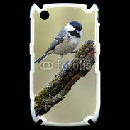 Coque Blackberry 8520 Oiseau sur une branche 100