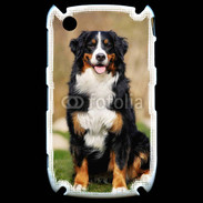 Coque Blackberry 8520 Bernois des montagne 100