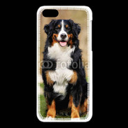 Coque iPhone 5C Bernois des montagne 100
