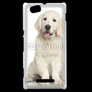 Coque Sony Xperia M Chiot Golden retriever 100