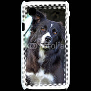 Coque Samsung Galaxy S Border collie 500