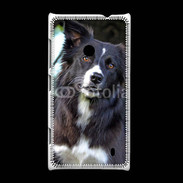 Coque Nokia Lumia 520 Border collie 500