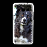 Coque Samsung Galaxy Express2 Border collie 500