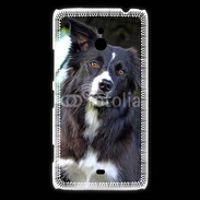 Coque Nokia Lumia 1320 Border collie 500