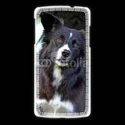 Coque LG Nexus 5 Border collie 500