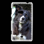 Coque Nokia Lumia 625 Border collie 500