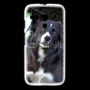 Coque Motorola G Border collie 500