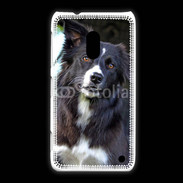 Coque Nokia Lumia 620 Border collie 500