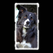 Coque Sony Xpéria Z1 Border collie 500