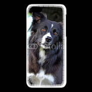 Coque iPhone 5C Border collie 500