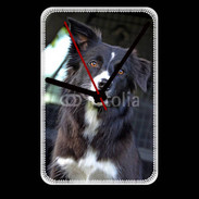 Grande pendule murale Border collie 500