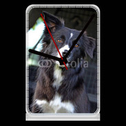 Pendule de bureau Border collie 500