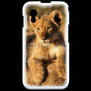 Coque Samsung ACE S5830 Portrait de lionceau 100