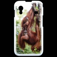 Coque Samsung ACE S5830 Famille de singe 50