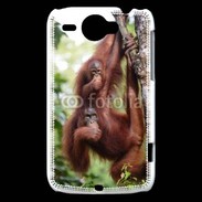 Coque HTC Wildfire G8 Famille de singe 50