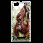 Coque Sony Xperia M Famille de singe 50