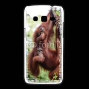 Coque Samsung Galaxy Express2 Famille de singe 50