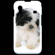 Coque Samsung ACE S5830 Chiot Shitzu 100