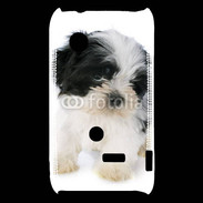 Coque Sony Xperia Typo Chiot Shitzu 100