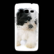 Coque Samsung Galaxy Express2 Chiot Shitzu 100