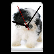 Pendule de bureau Chiot Shitzu 100