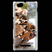 Coque Sony Xperia M Chiots Boxer sur un tronc d''arbre
