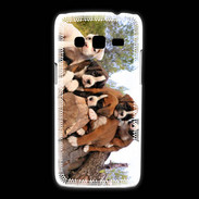 Coque Samsung Galaxy Express2 Chiots Boxer sur un tronc d''arbre
