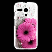 Coque Motorola G Amour de marguerite