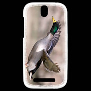 Coque HTC One SV Canard Colvert 2